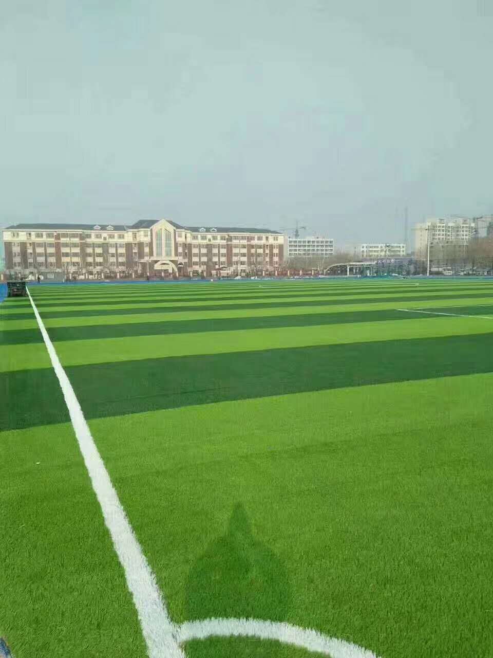 三沙市新国标塑胶跑道仿真草坪 - 排名